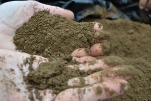 Quality-Topsoil-Surrey