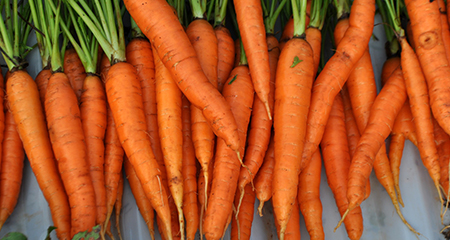 Grow-Carrots-at-Home