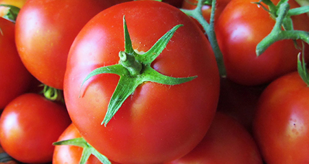 Grow-Tomatoes-at-Home