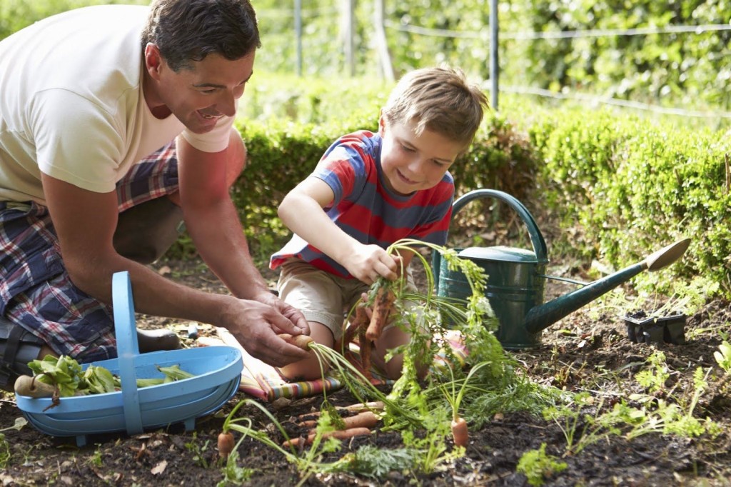 Vegetables-You-Can-Grow-At-Home