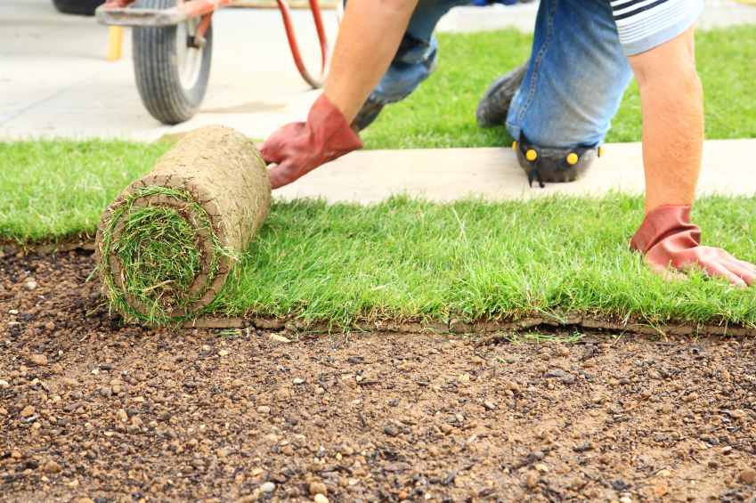 Turf Laying Services Chelmsford, Essex - Turf Suppliers Essex