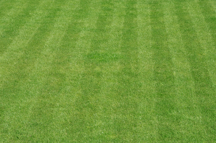 when to aerate a lawn uk