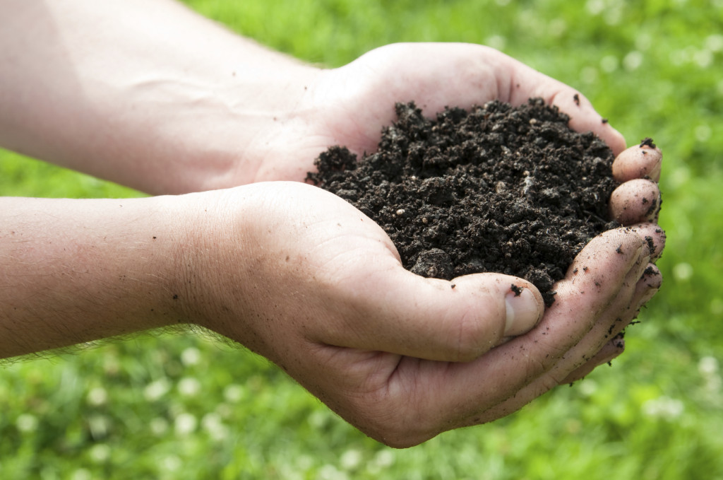 what is topsoil?