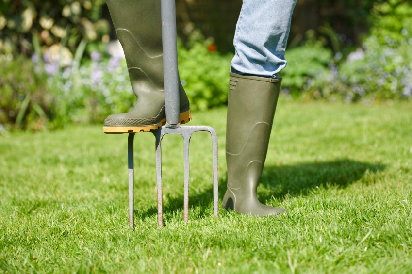 Aerating a lawn in the UK