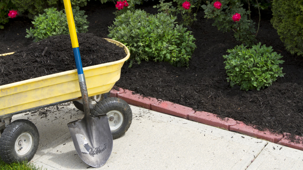 how and where to buy topsoil