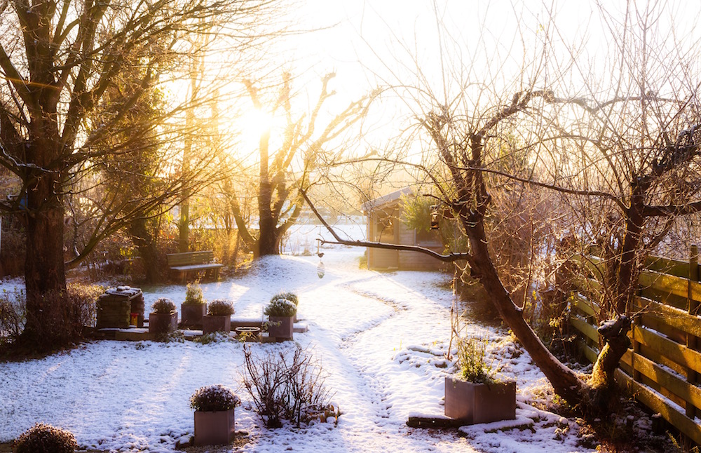 Winter Gardening Tips Seasonal Gardening Tips Bury Hill Blog