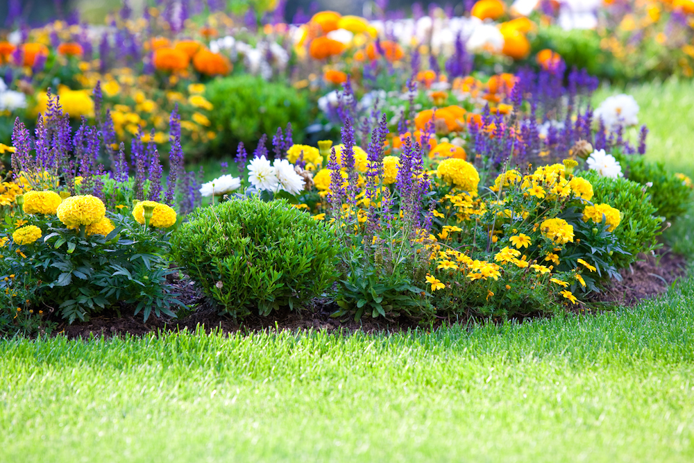 Loam soil means your garden will flourish