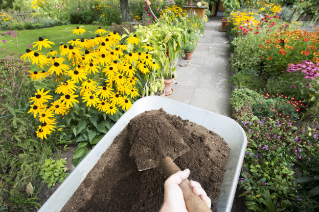simple gardening tips