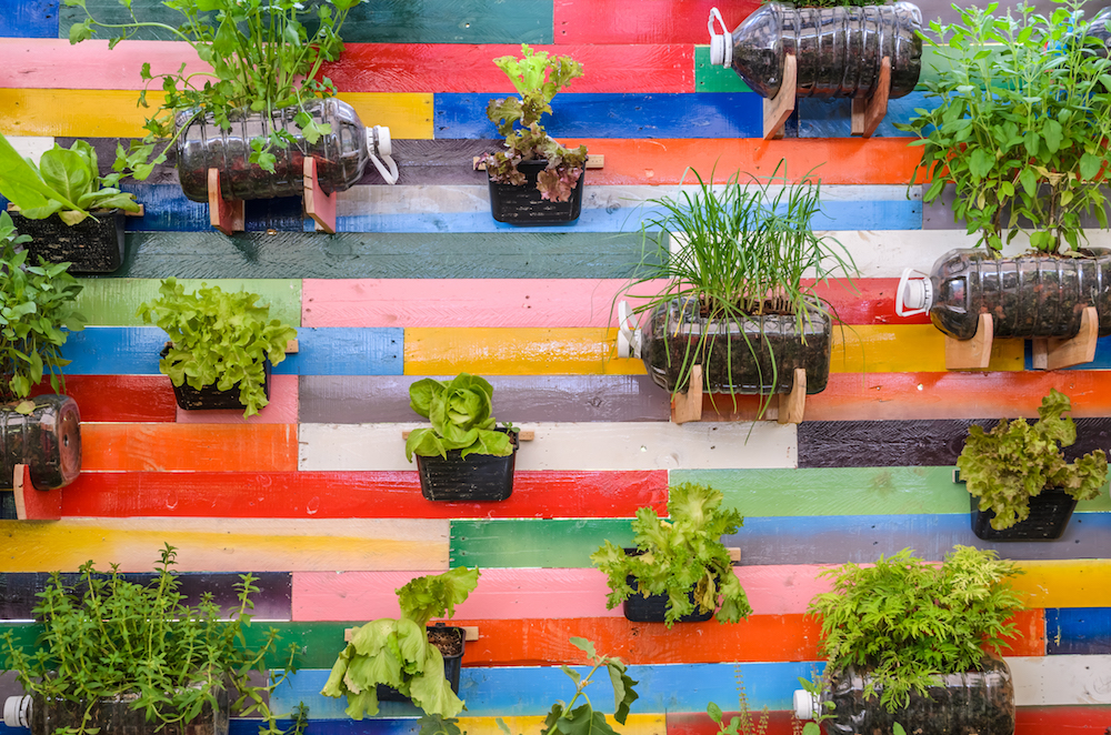 Garden Inspiration