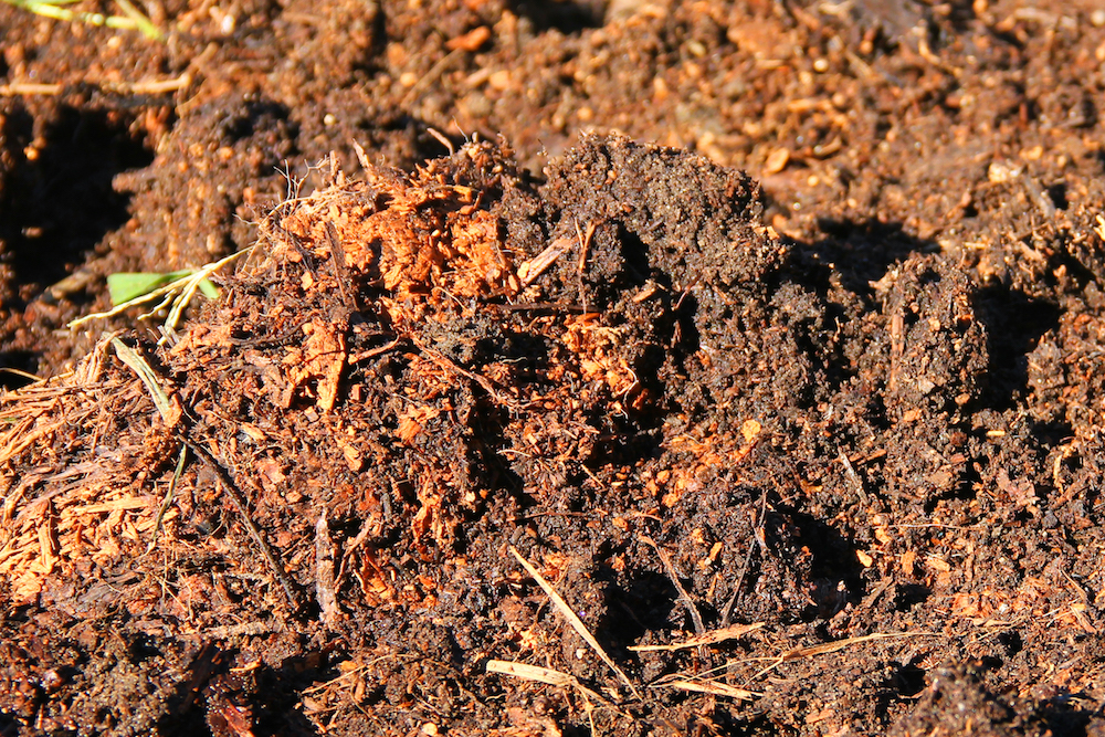 How To Use Horse Manure In Your Garden Bury Hill Topsoil And