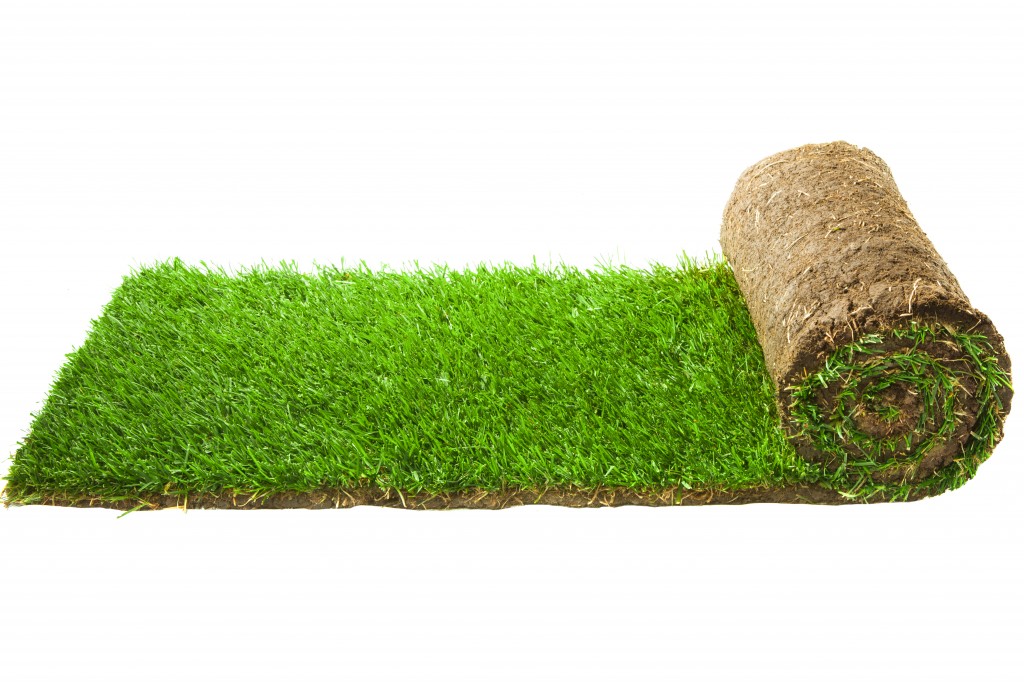Turfing your lawn