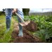 60:40 Topsoil Manure Mix