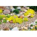 Cornish (Silver Grey) Horticultural Grit 2-5mm