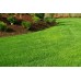 Organic Lawn Renovation Mix 5mm