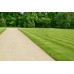 Sand/Soil Contract Turf Dressing (60/40) 5mm