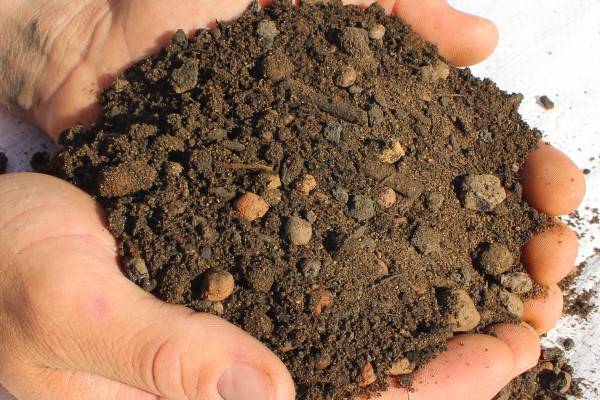 Lightweight Intensive Planting Soil