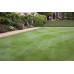 Organic Lawn Renovation Mix (50/50) 4mm
