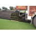 Premium Rye Lawn Turf