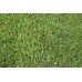 Premium Rye Lawn Turf