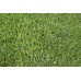 Premium Rye Lawn Turf