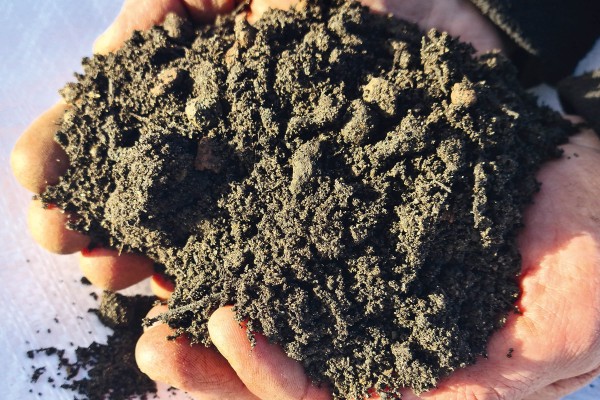 Ericaceous Lightweight Topsoil