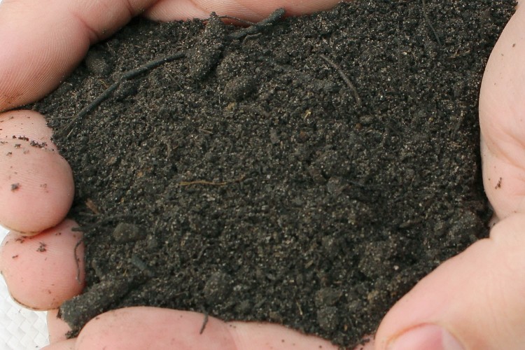 Ericaceous BS Topsoil