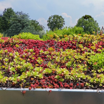 EXTENSIVE GREEN ROOF SUBSTRATES