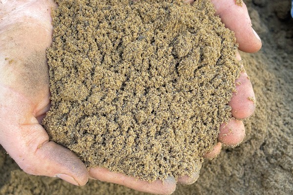 Bury Hill Topdress (80/20) 3mm