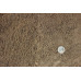 Sand/Soil Contract Rootzone (60/40) 5mm