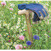 Cottage Garden Wildflowermat