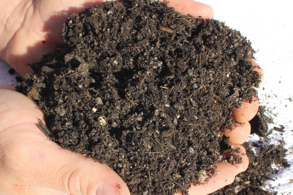 Soil Conditioner & Horticultural Grit Mix 9:2