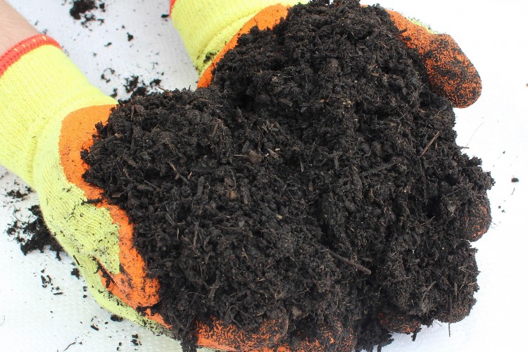 Soil Conditioner & Mushroom Compost Mix (50:50)