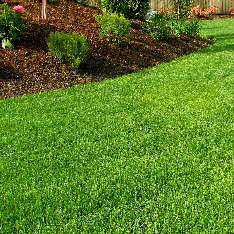 LAWN TURF DRESSINGS