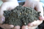 Bury-Hill-Planting-Loam-Topsoil