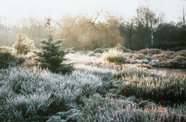Prepare-Garden-Winter