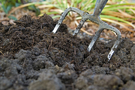 Organic-Compost-Advice