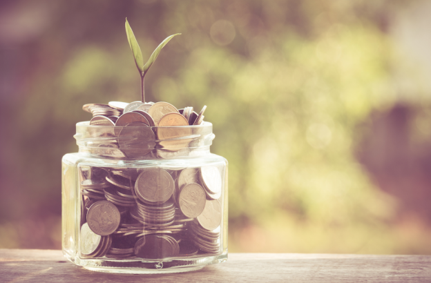 Money-Saving Gardening Tips