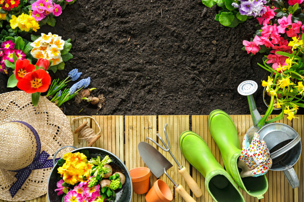 Gardening for beginners