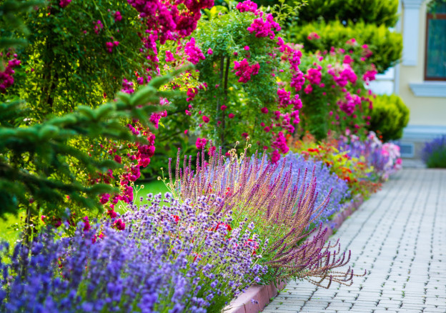 summer-gardening-tips