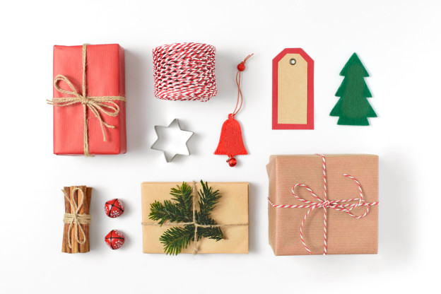 Gardening Gift Ideas Christmas Guide